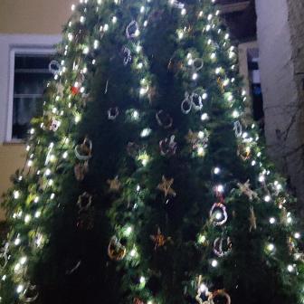 Rozsvícení vánočního stromečku 1